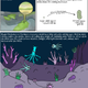 Image for article titled What Would Life on an Ocean Moon Look Like?